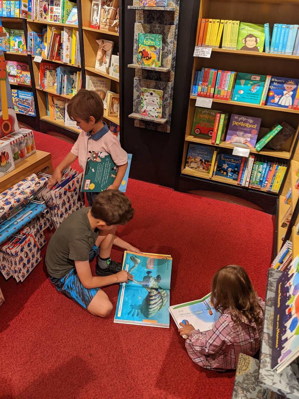 Children browsing picture books in a bookshop